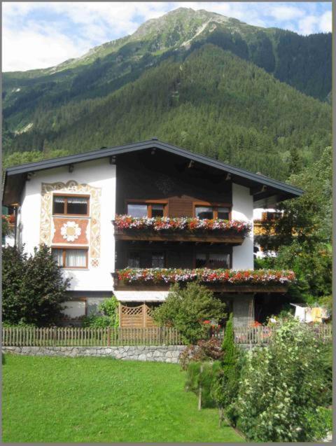 Haus Lifinar - Carmen Juen Apartamento Sankt Gallenkirch Exterior foto